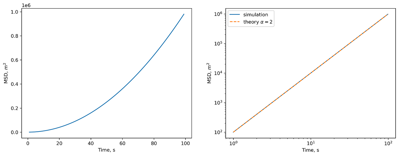 (left) MSD in linear scale. (right) MSD in log-log scale and theoretical prediction.